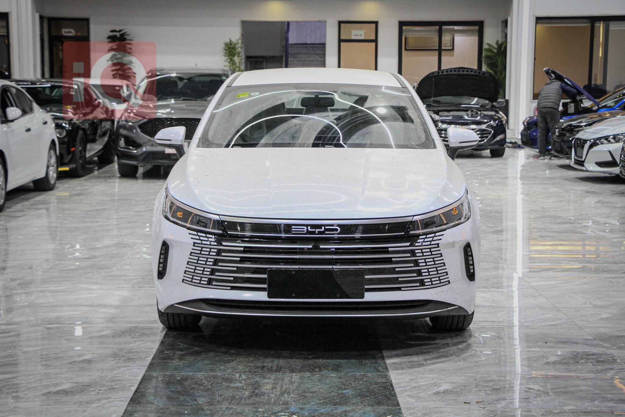 بي واي دي ديستروير 05